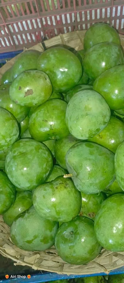 Jual Mangga apel muda