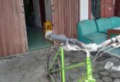 Sepeda Balap rakitan