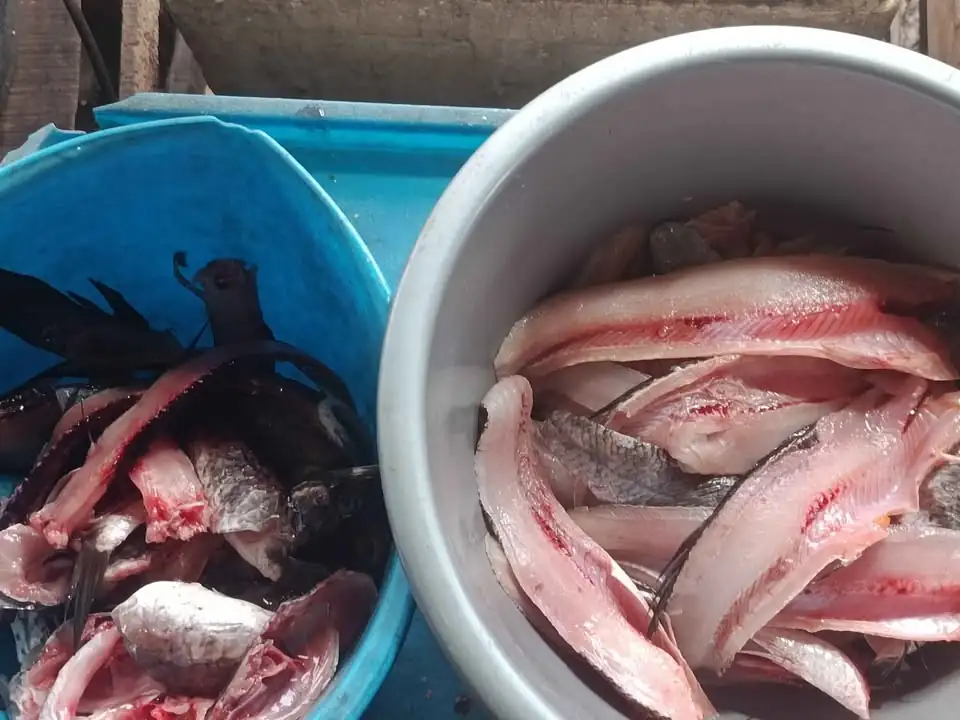 Makanan Sehat untuk Pasca Operasi – Praktis & Siap Masak