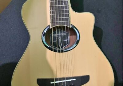 z-19