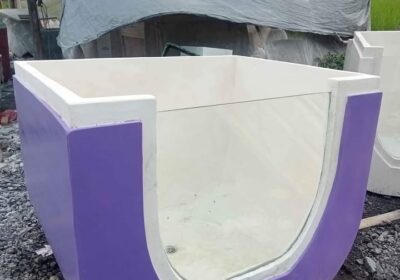 474191628_1685896142304233_886758459257758110_n