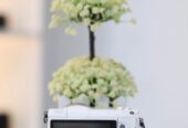 Kamera Sony A5100