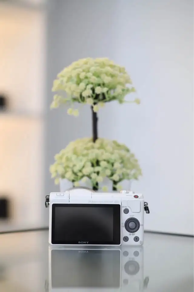 Kamera Sony A5100