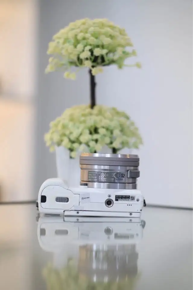 Kamera Sony A5100