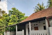 Jual rumah utara psar cebongan luas 120m hrg 350 jt negoo