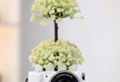 Kamera Sony A5100