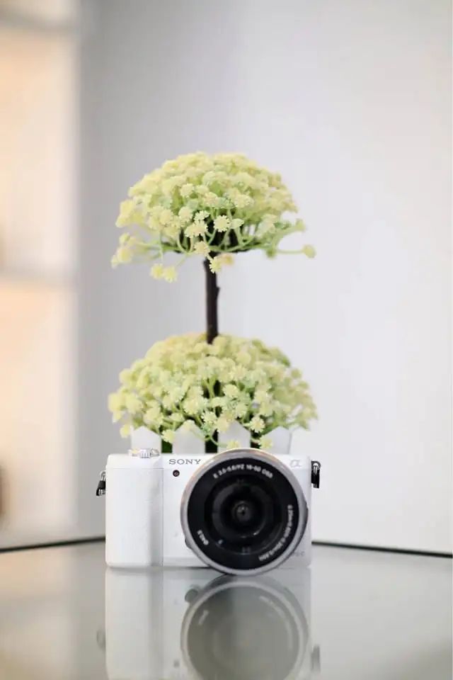 Kamera Sony A5100