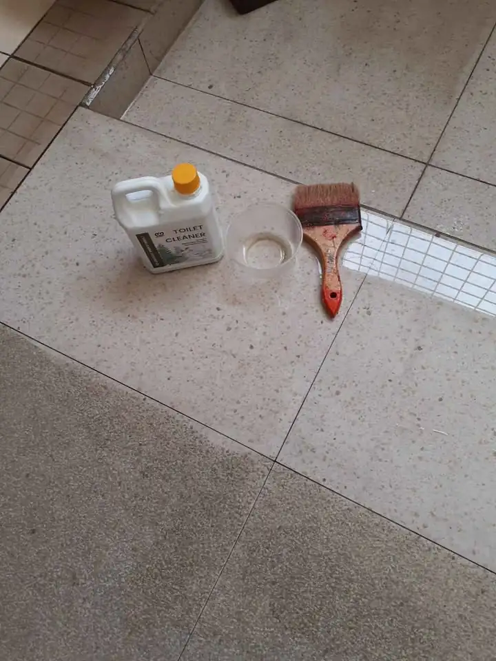 Toilet Cleaner