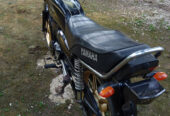 King Tahun 2000 Restorasi se
