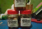 Bawang lanang “Ramuan khas madura”