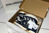 Sepatu salomon