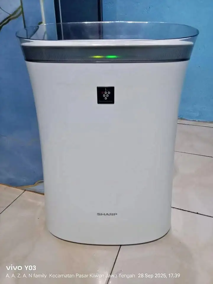 Pembersih udara