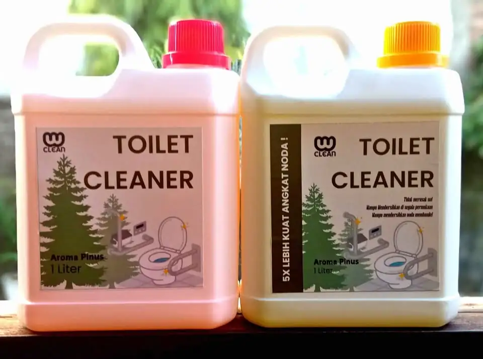 Toilet Cleaner