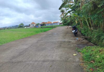 hanbrighton-jual-tanah-15-are-kelating-tabanan-1