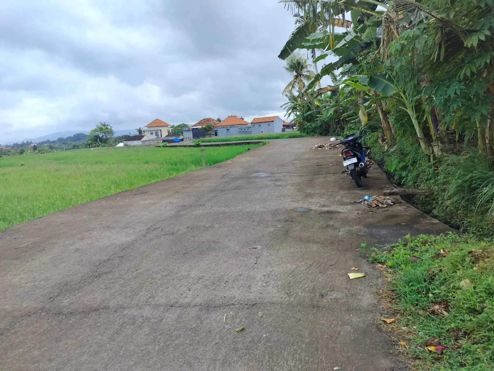 Jual Tanah 15 Are Kelating Tabanan