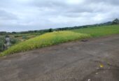Jual Tanah 15 Are Kelating Tabanan