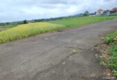 Jual Tanah 15 Are Kelating Tabanan