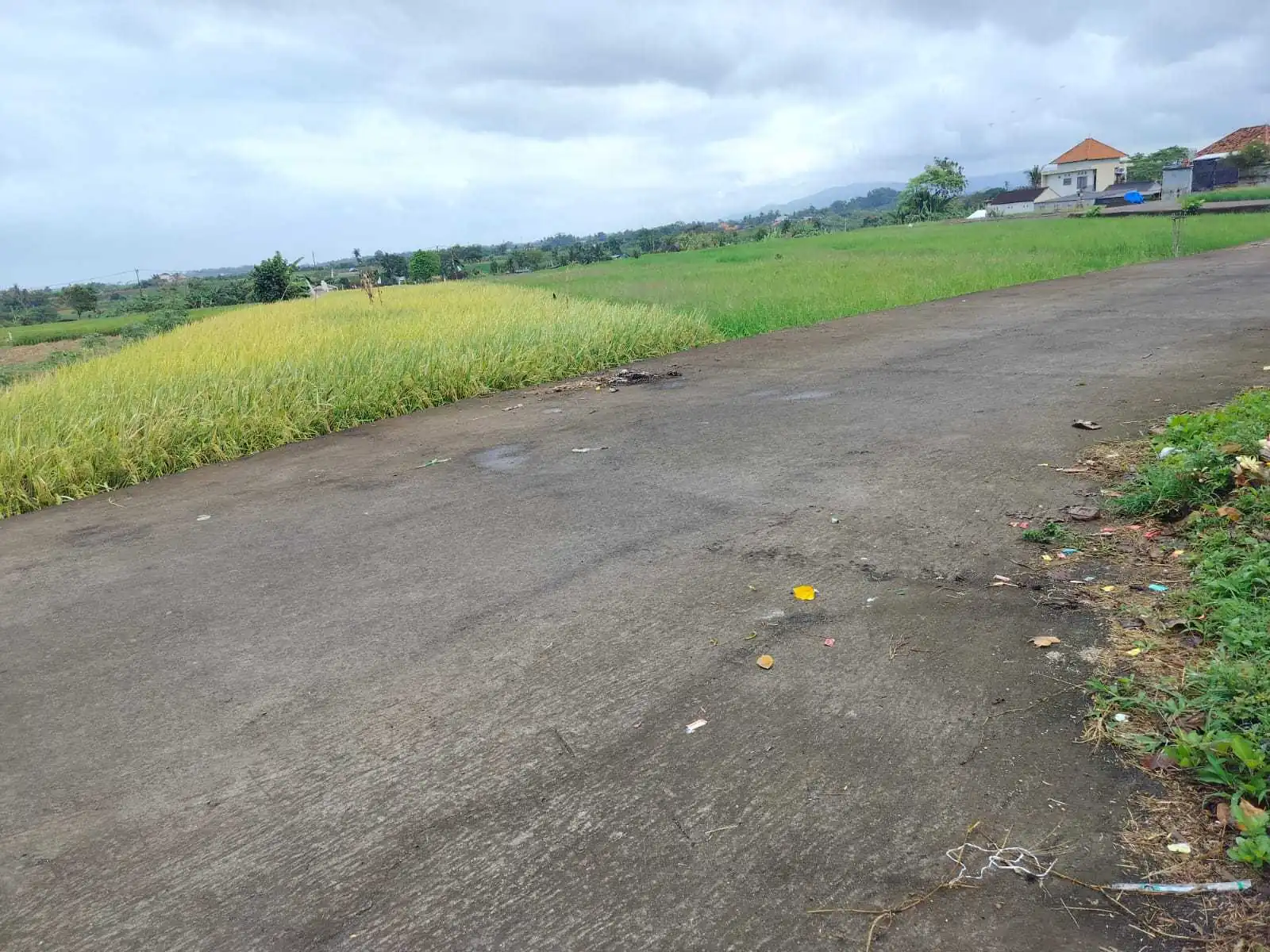Jual Tanah 15 Are Kelating Tabanan