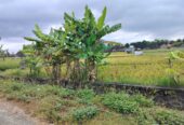 Jual Tanah 20 Are Kelating Tabanan