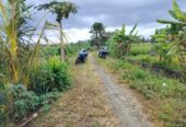 Jual Tanah 20 Are Kelating Tabanan