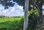 Jual Tanah 2540m2 Sempidi Badung