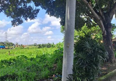 hanbrighton-jual-tanah-2540m2-sempidi-badung-1