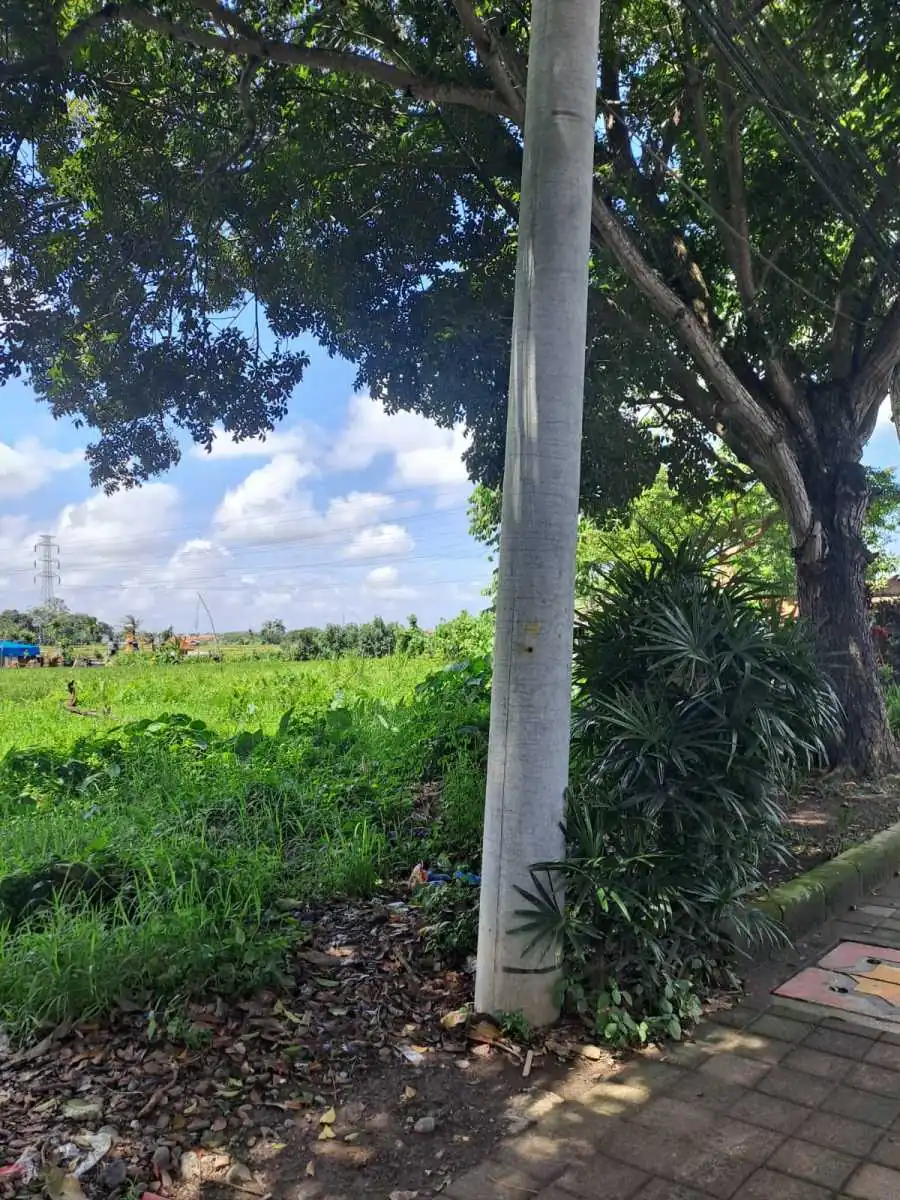 Jual Tanah 2540m2 Sempidi Badung