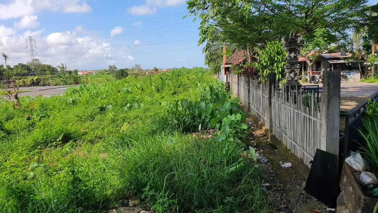 Jual Tanah 2540m2 Sempidi Badung