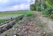 Jual Tanah 26 Are Pantai Pasut Kerambitan Tabanan View Laut Gunung