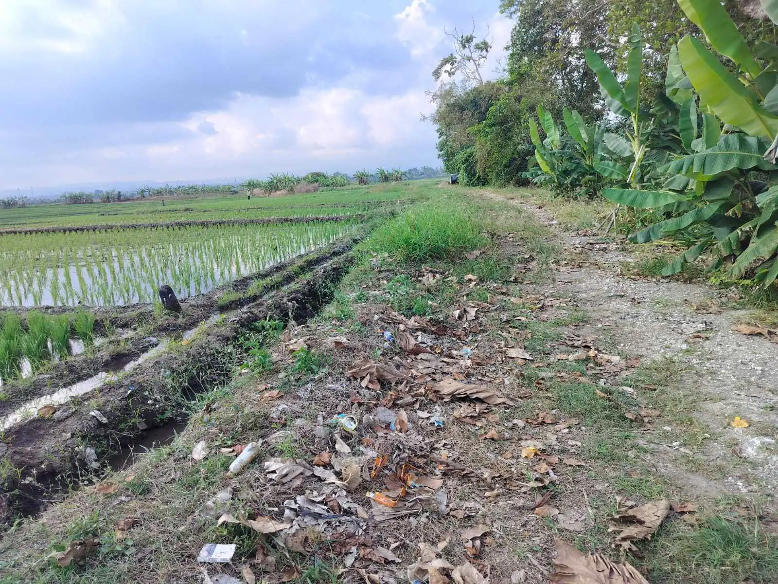 Jual Tanah 26 Are Pantai Pasut Kerambitan Tabanan View Laut Gunung