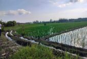 Jual Tanah 26 Are Pantai Pasut Kerambitan Tabanan View Laut Gunung
