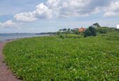 Jual Tanah 36 Are Pantai Tan Sema Ketewel Sukawati Gianyar