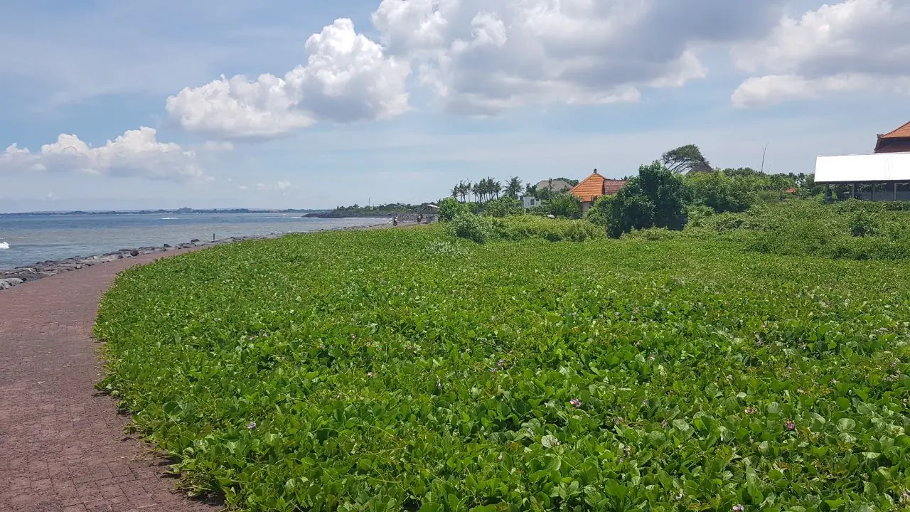Jual Tanah 36 Are Pantai Tan Sema Ketewel Sukawati Gianyar