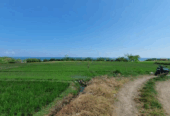 Jual Tanah 7850m2 Beachfront Kelating Tabanan