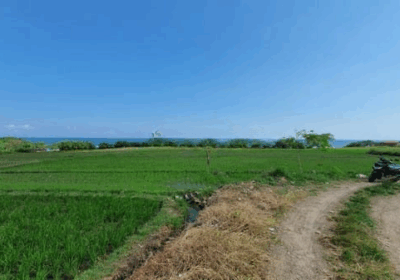 hanbrighton-jual-tanah-7850m2-beachfront-kelating-tabanan-1