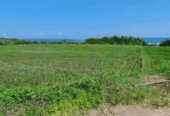 Jual Tanah 7850m2 Beachfront Kelating Tabanan
