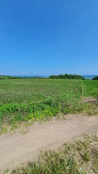 Jual Tanah 7850m2 Beachfront Kelating Tabanan