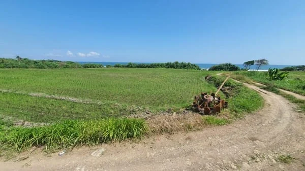 Jual Tanah 7850m2 Beachfront Kelating Tabanan
