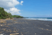 Jual Tanah 7850m2 Beachfront Kelating Tabanan