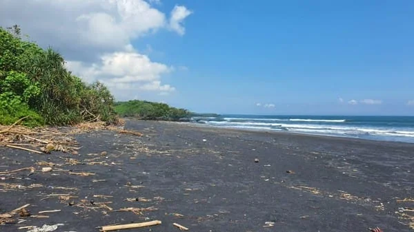 Jual Tanah 7850m2 Beachfront Kelating Tabanan