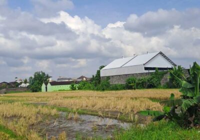 hanbrighton-jual-tanah-98-are-mengwi-badung-1