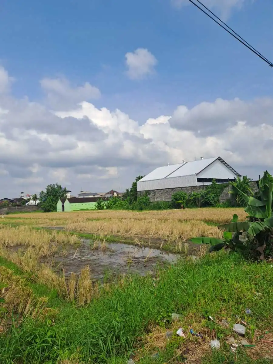 Jual Tanah 98 Are Mengwi Badung