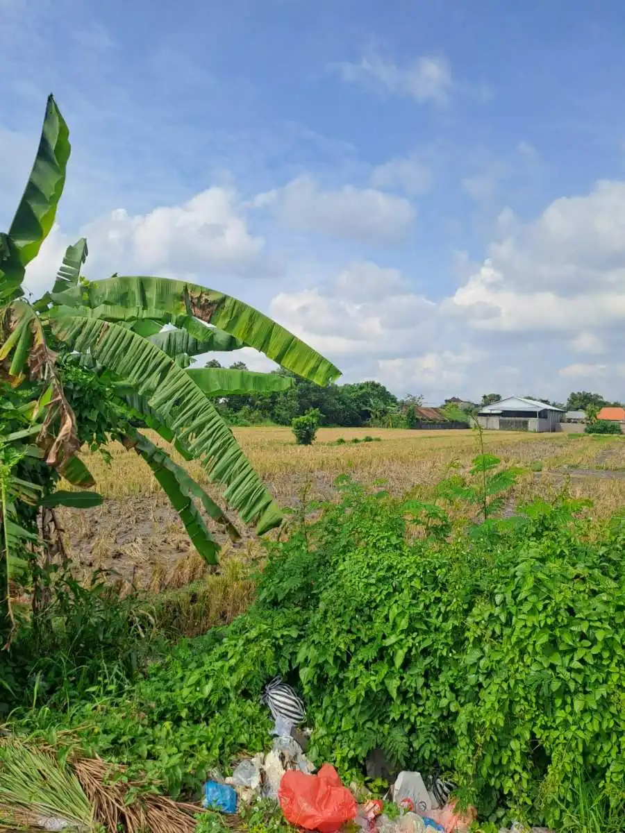 Jual Tanah 98 Are Mengwi Badung