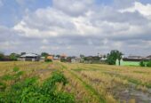 Jual Tanah 98 Are Mengwi Badung