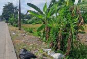 Jual Tanah 98 Are Mengwi Badung