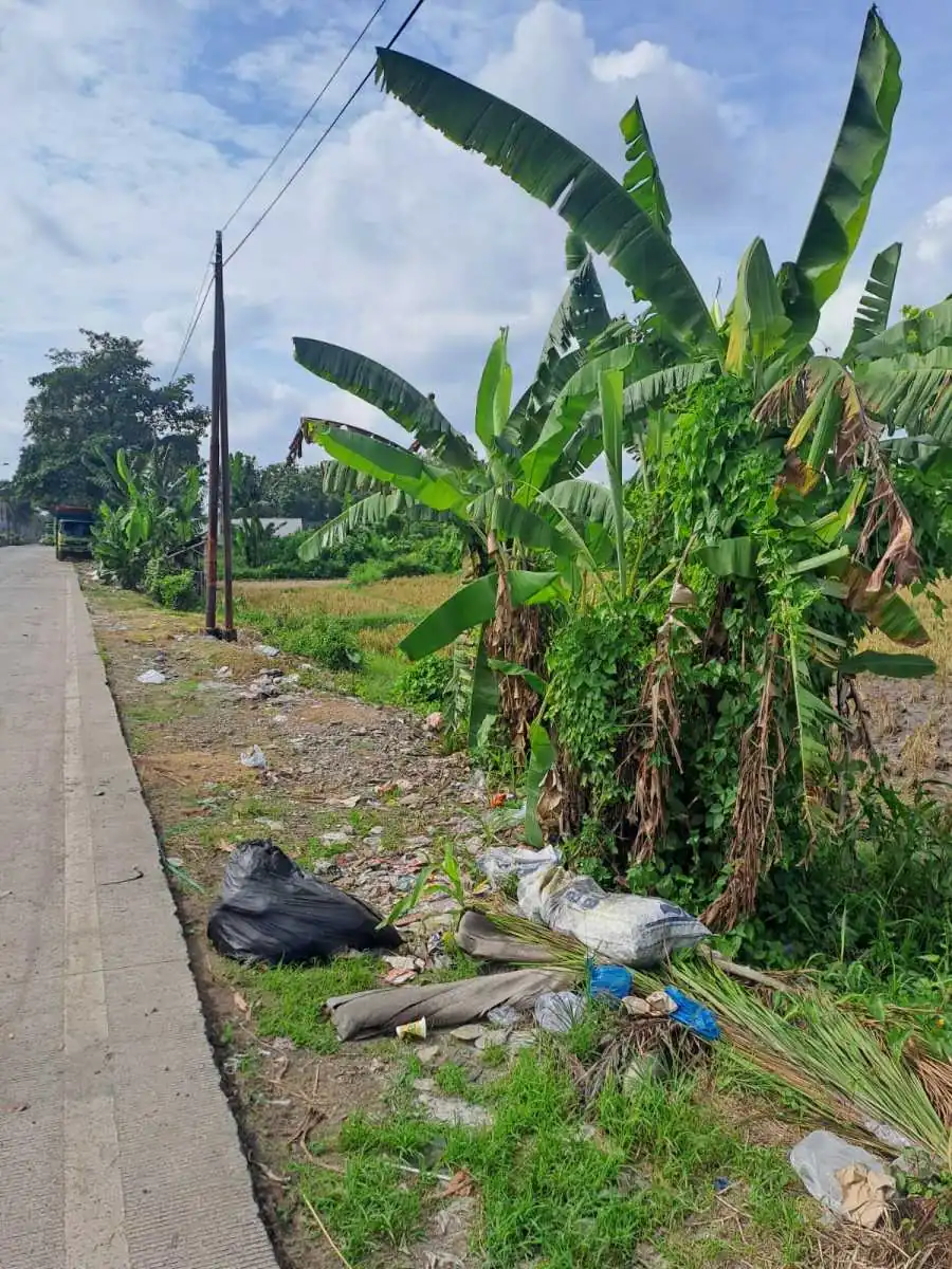 Jual Tanah 98 Are Mengwi Badung