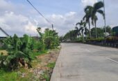 Jual Tanah 98 Are Mengwi Badung