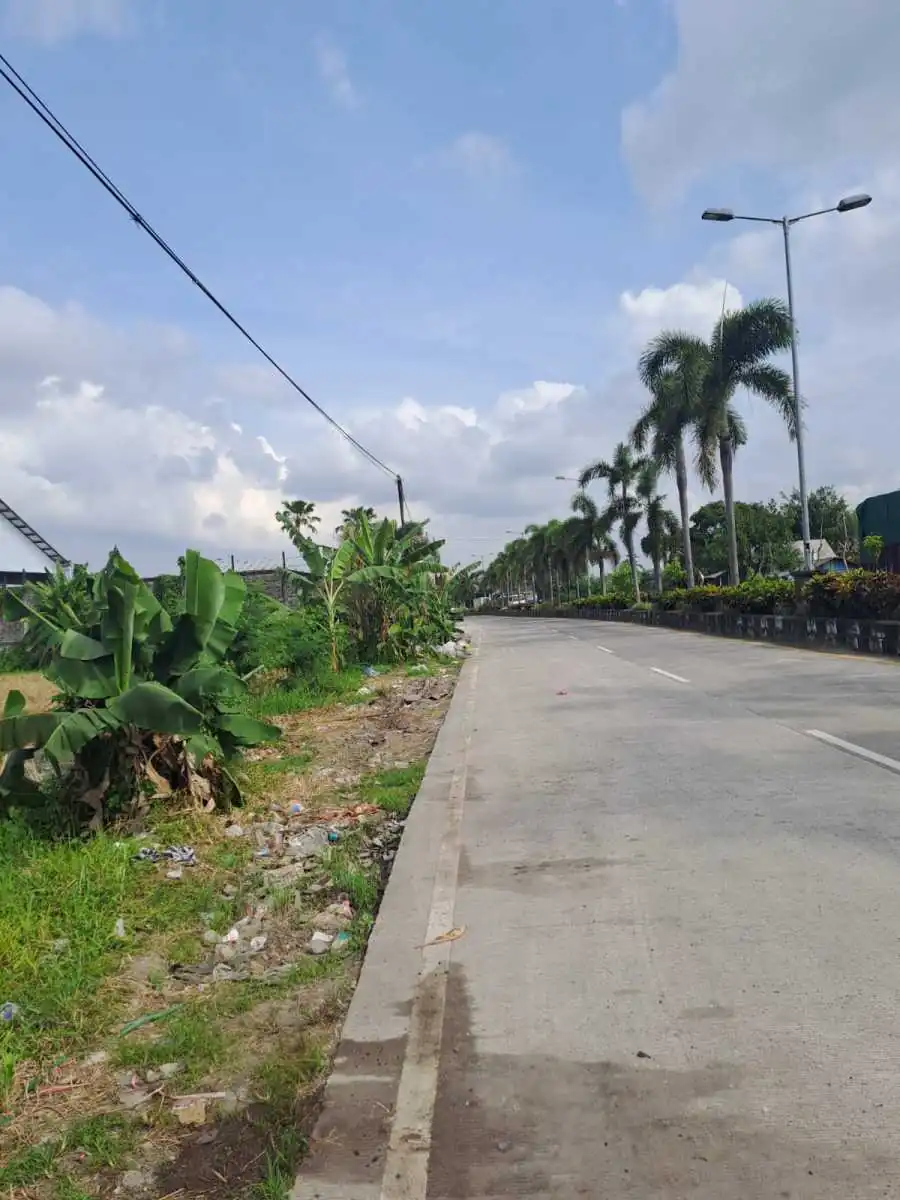 Jual Tanah 98 Are Mengwi Badung