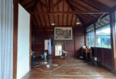 Sewa Rumah Besar Pet Friendly 4 Kamar Tukad Batanghari Denpasar Selata