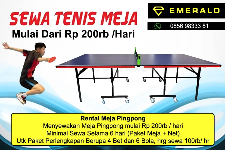 Rental sewa tenis meja pingpong murah